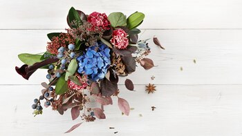 Durante esta época del año,