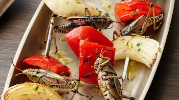 Photo courtesy of David George