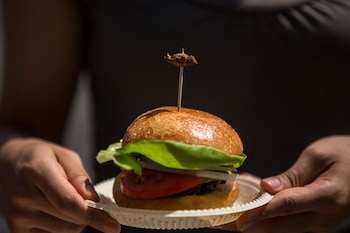 Hamburguesa de chapulines. Foto de