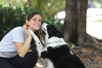 Los casos de ayuda más solicitados son cuando la mascota se hace pis en casa o rompe cosas