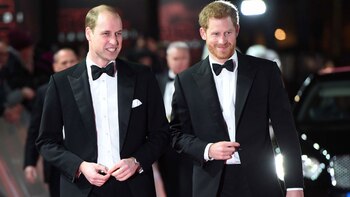 Los príncipes William y Harry