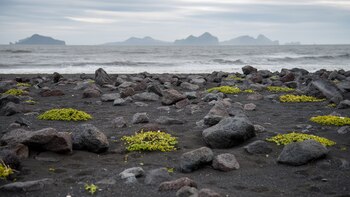 Costa sur de Islandia con