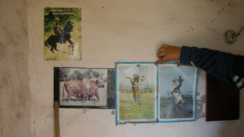 Los posters que tenía Piñel