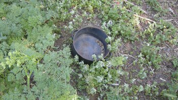 En una gran olla, similar