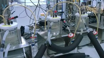 La fermentación que realiza Neo-Carbon