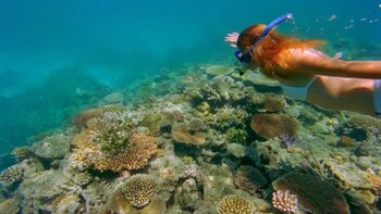 Las empresas turísticas en Australia