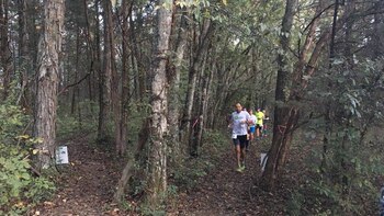Se desarrolla en un bosque de Tennessee
