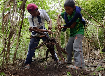 Las comunidades machiguengas de la región de Cusco luchan por sus tierras. No quieren que el narco se apropie de los territorios (Jack Lo Lau / Mongabay Latam)
