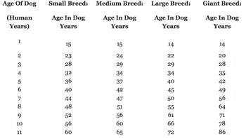 La primera columna es la