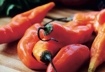 El ají, un ingrediente infaltable