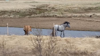 Imagen QNOV5DURYVEKFBMN4SFQGERW3Q