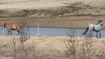 Imagen NVWTBTNVRBFNDAG5NADYH5UR74