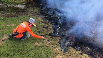 Un geólogo recolecta muestras en