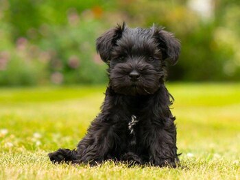 Wilma estuvo secuestrada tres días y regresó a