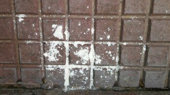 El polvo hallado (@EmergenciasBA)