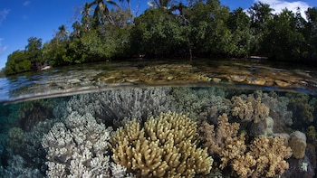 Las Islas Salomon se vieron