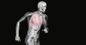 “Los efectos del cannabis y