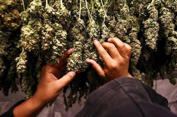 El gobierno de AMLO propondrá