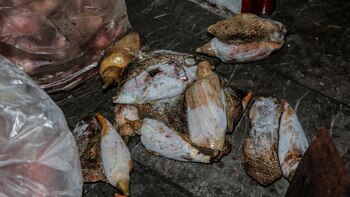 Imagen UB66PUQMPVFW3BFGUQ7ZPGBE7E