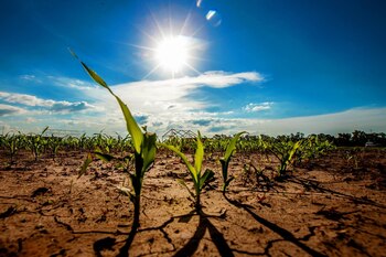 La imposibilidad del Gobierno de