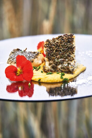 Merluza. (Foto: Chino Toccalino/ Para