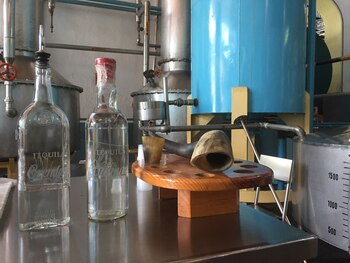 Desde el cocimiento del agave