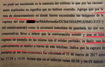 Extracto de la pericia de