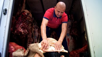 El consumo de proteínas de