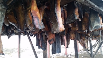 Los trozos de tiburón, tras