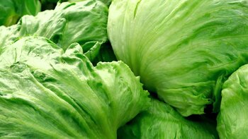 Mientras el precio de la