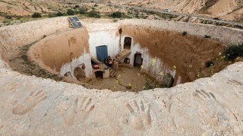 Una imagen a ras del