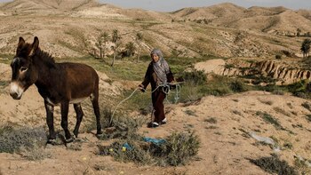 Una mujer dirige a su