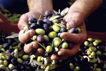 Alrededor del 70% de la