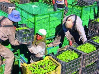 San Juan, La Rioja y