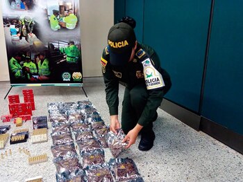 Las autoridades determinaron que las