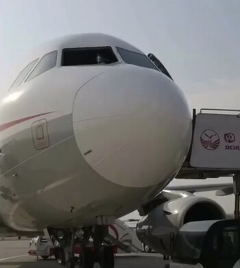 El copiloto fue succionado por