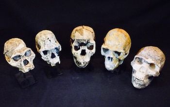 Las investigaciones acerca de la