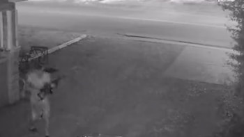 Cuando el rifle empezó a