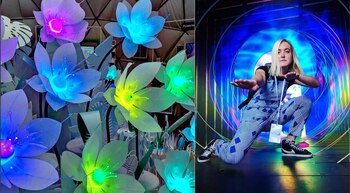 Flores que reaccionan a los