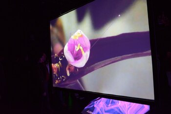 Imagen QQWB3FLOBJDWFHYQJADDYT43CU