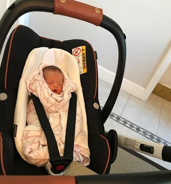 Isabelita lista para combatir el