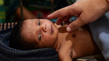 “Estos bebés son evidencia de