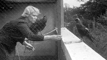 Imagen WWULKDY55BB7BHPC5G7TIRHEZE