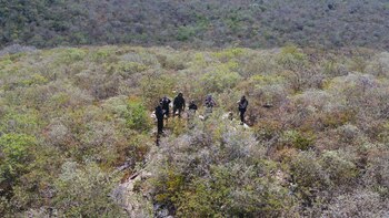 Después de intensas búsquedas, los