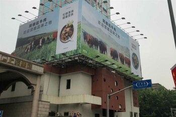 Los resultados preliminares del estudio