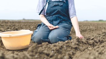 La mujer rural aparece por primera vez en la agenda del G20 por iniciativa argentina.