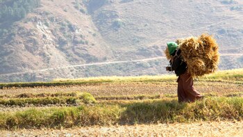 Existen 1.6 mil millones de mujeres campesinas en el mundo, pero sólo el 2% de la tierra es propiedad de ellas y reciben el 1% de todo el crédito.