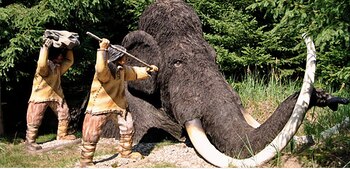 Los restos podrían arrojar pistas