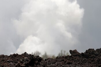 (Reuters/ Terray Sylvester)