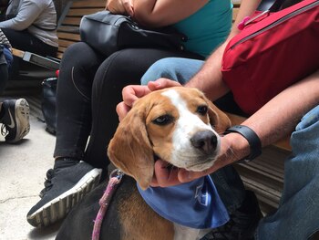 iniciando la aventura.